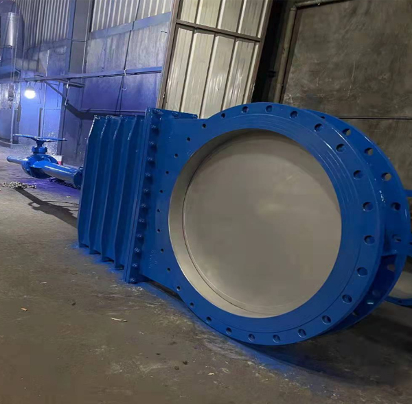 ��ھ���բ��